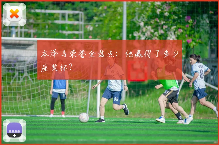 本泽马荣誉全盘点：他赢得了多少座奖杯？